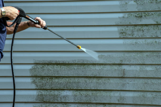 Best Graffiti Removal  in Hendersonville, TN